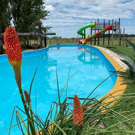 Posada De Campo Mamull Mapu Rancul Exteriér fotografie