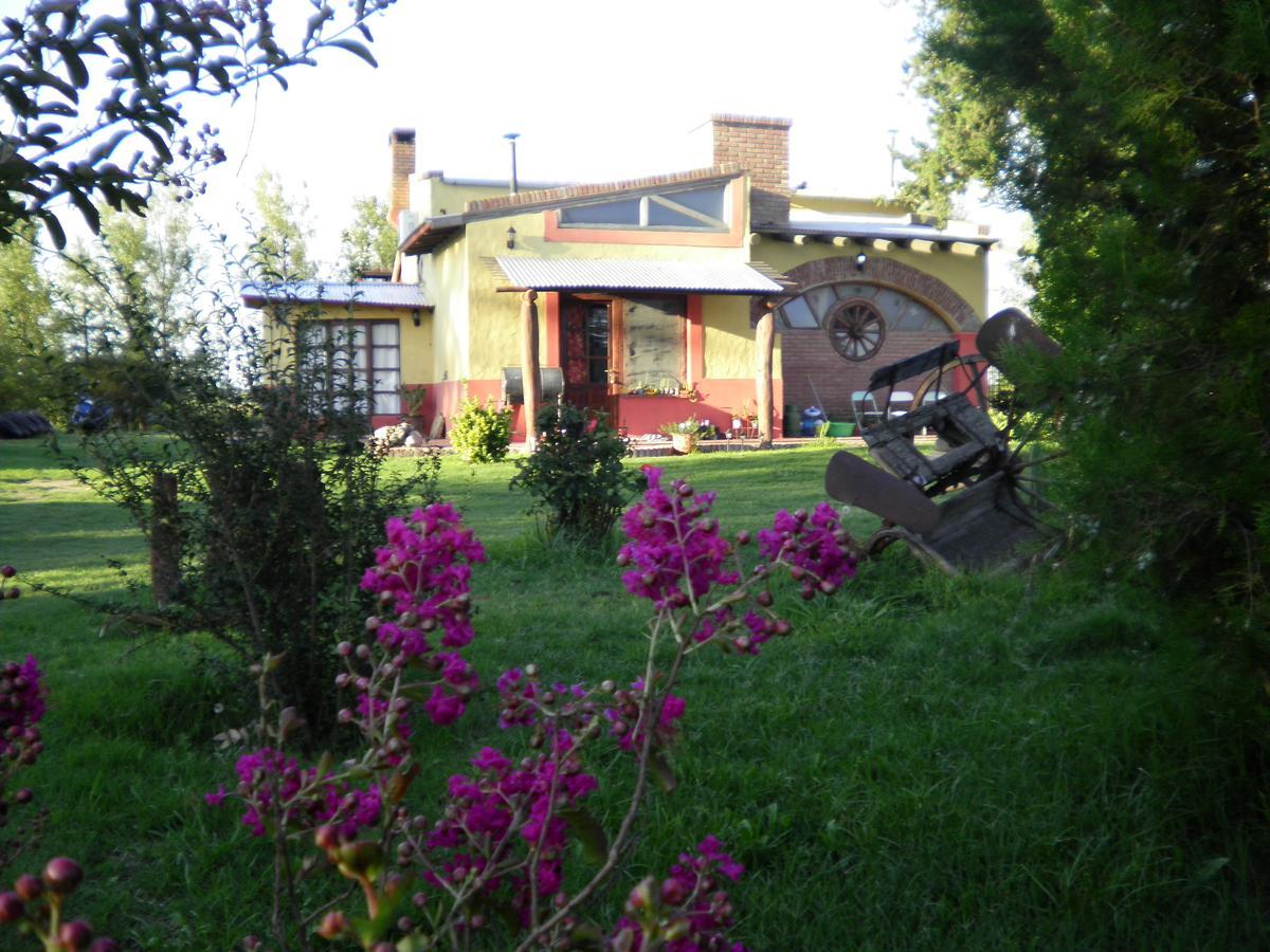 Posada De Campo Mamull Mapu Rancul Exteriér fotografie